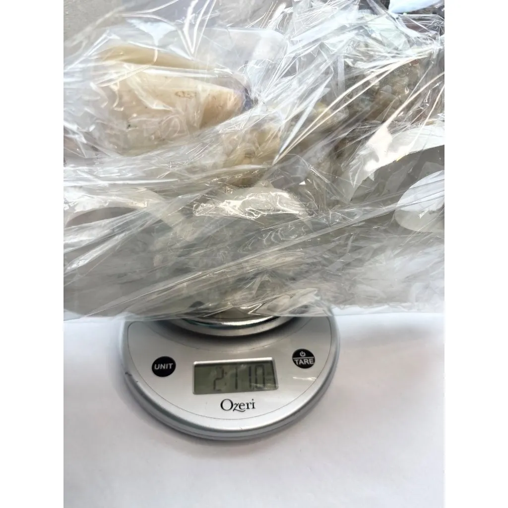 Beach-Inspired Shell & Chain Necklace Set Starfish & Seashell Designs Multi-Colo - Image 12