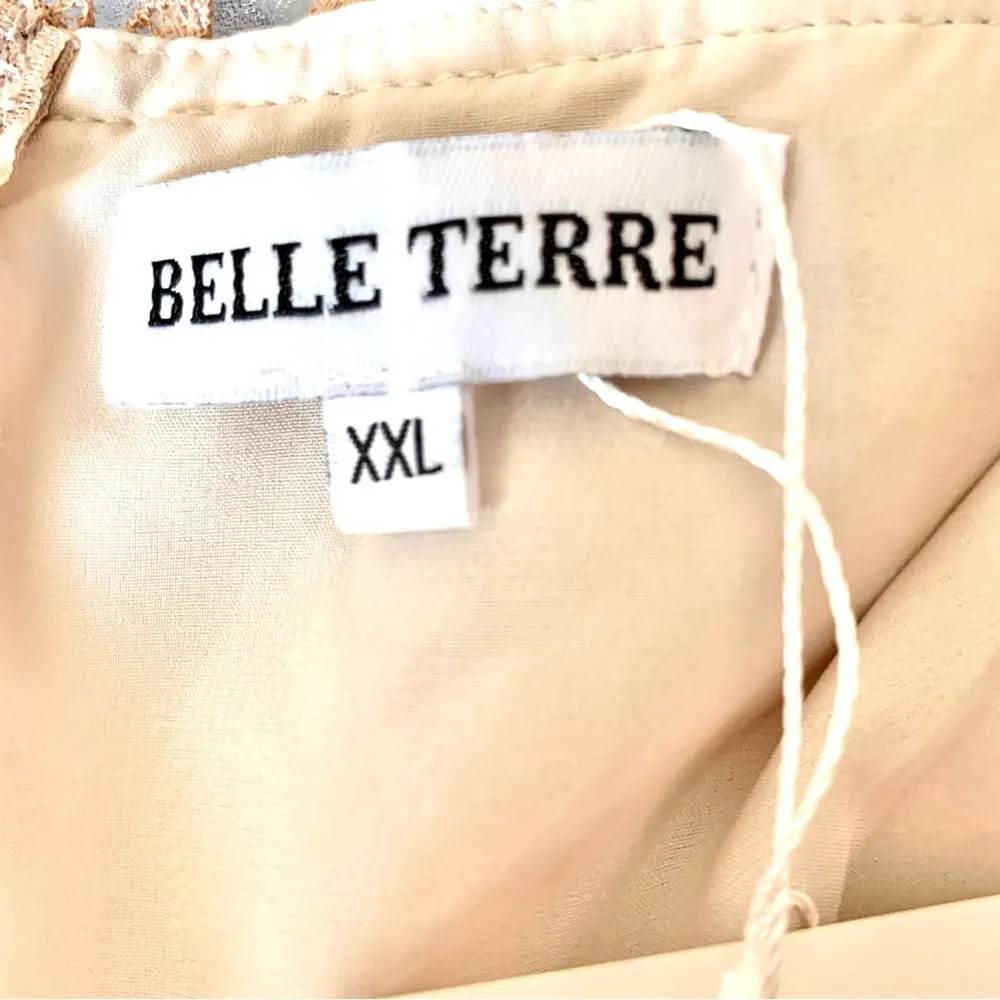 Belle Terre Cream, Blush, Tan, Green Lace Embroidered Floral Dot Tulle Dress. Pink Size XXL - Image 11