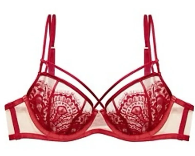 Dita Von Teese Red Lace Bra sz 32DD Sheer Maestra Red Non Pad Underwire Bra - Image 1