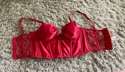 Victoria Secret Corset Top - Image 5