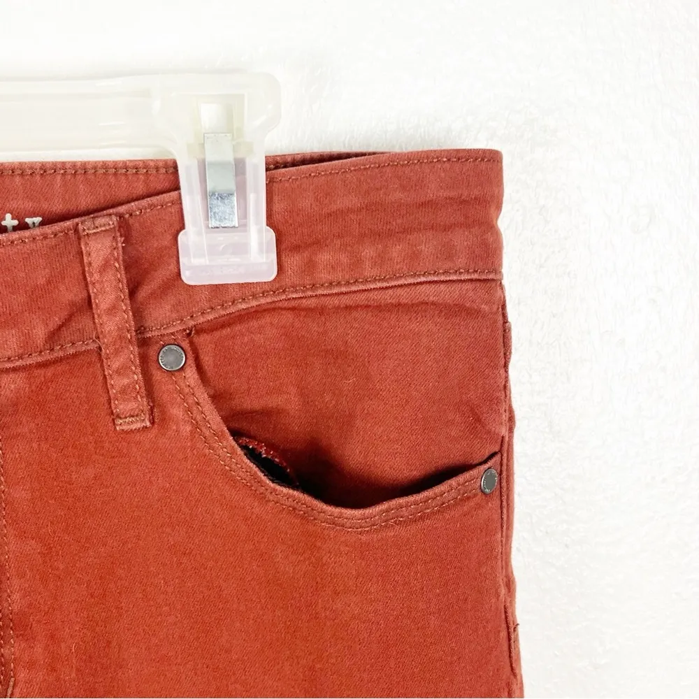 ARTICLES OF SOCIETY Sarah Burnt Orange Release Frayed Hem Skinny Jeans, Size 30 - Image 11