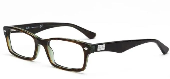 Ray Ban Glasses - Image 4
