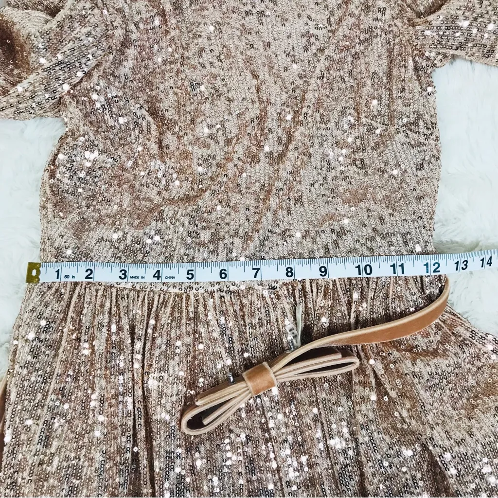 ANTONIO MELANI x Nicola Bathie Rose Gold Sequin Maxi Dress Feather Formal Size 0 - Image 13