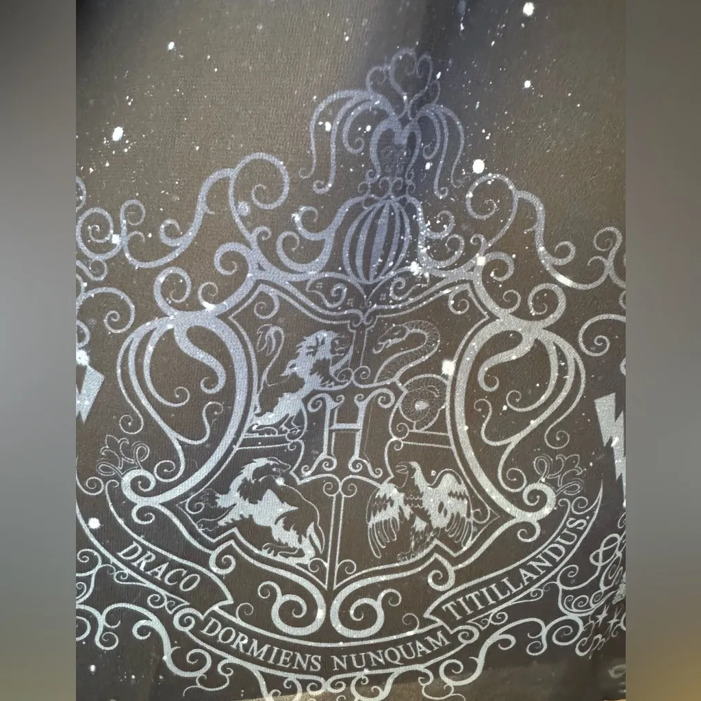 Harry Potter Black Lace Mesh Gothic Dress Torrid Size 3 Plus Size Wizard Crest‎ - Image 8