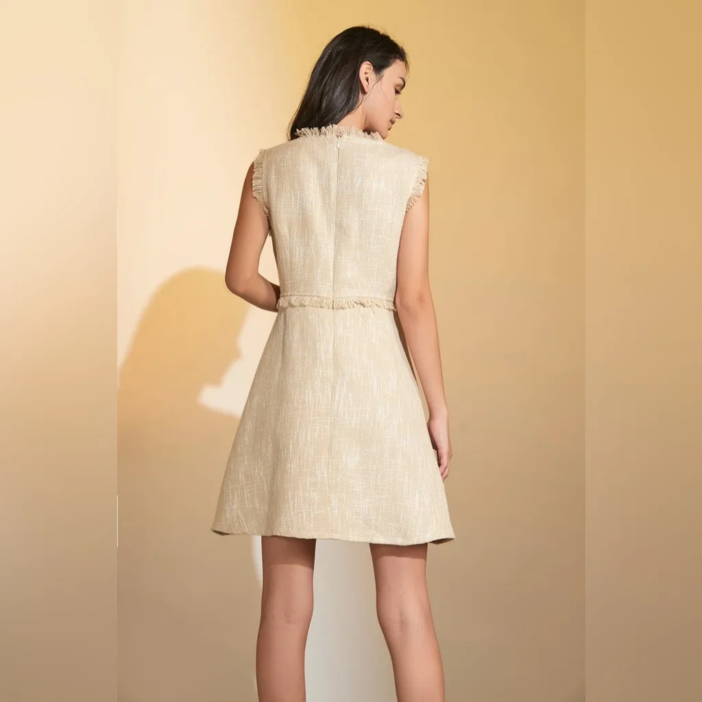 J.ING Jing Beige Sweetheart Neck Sleeveless Tweed Mini Dress Size Small NWT Tan - Image 3