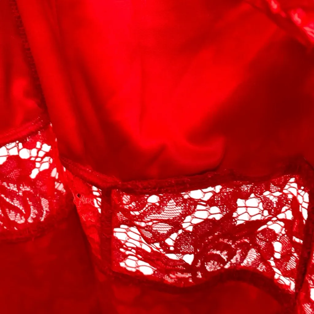 Express Red Lace Corset Dress Bodycon Cocktail New Size 12 - Image 11