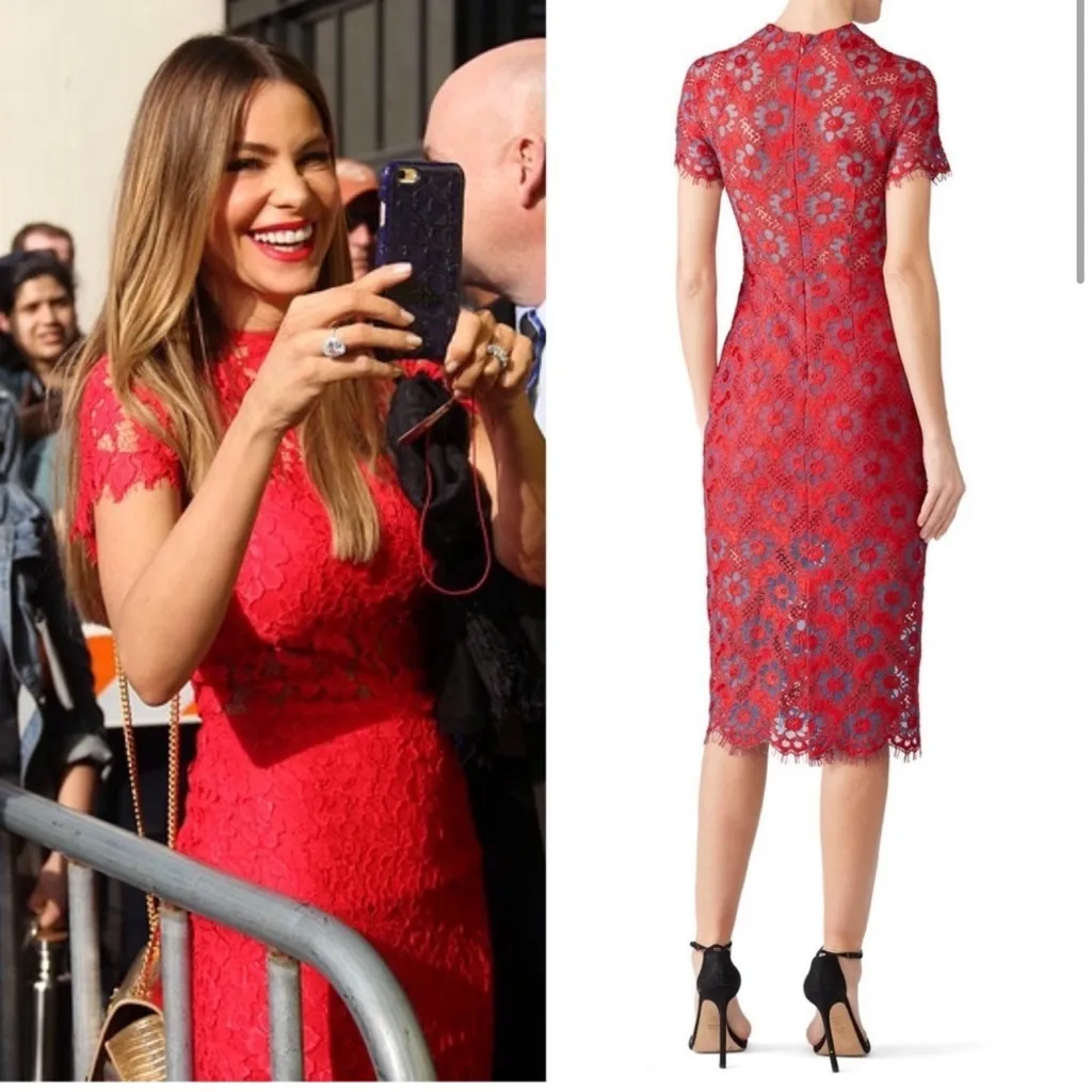 ALEXIS Floral Lace Short Sleeve High Neck Sheer Cutout Bodycon Sheath‎ Dress L - Image 3