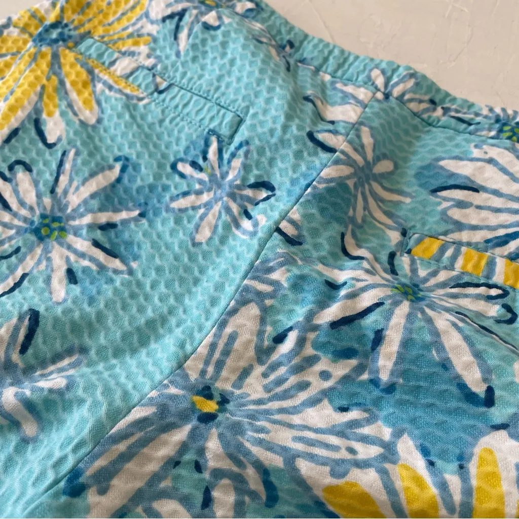 Lilly Pulitzer Adie Breakwater Blue Daisy Dance Allover Shorts Sz 4 - Image 9