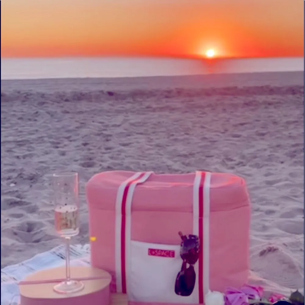 L*SPACE COASTAL COOLER BAG - Image 5