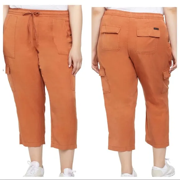 Sanctuary  Discoverer orange pull-on cargo pants 3x - Image 2