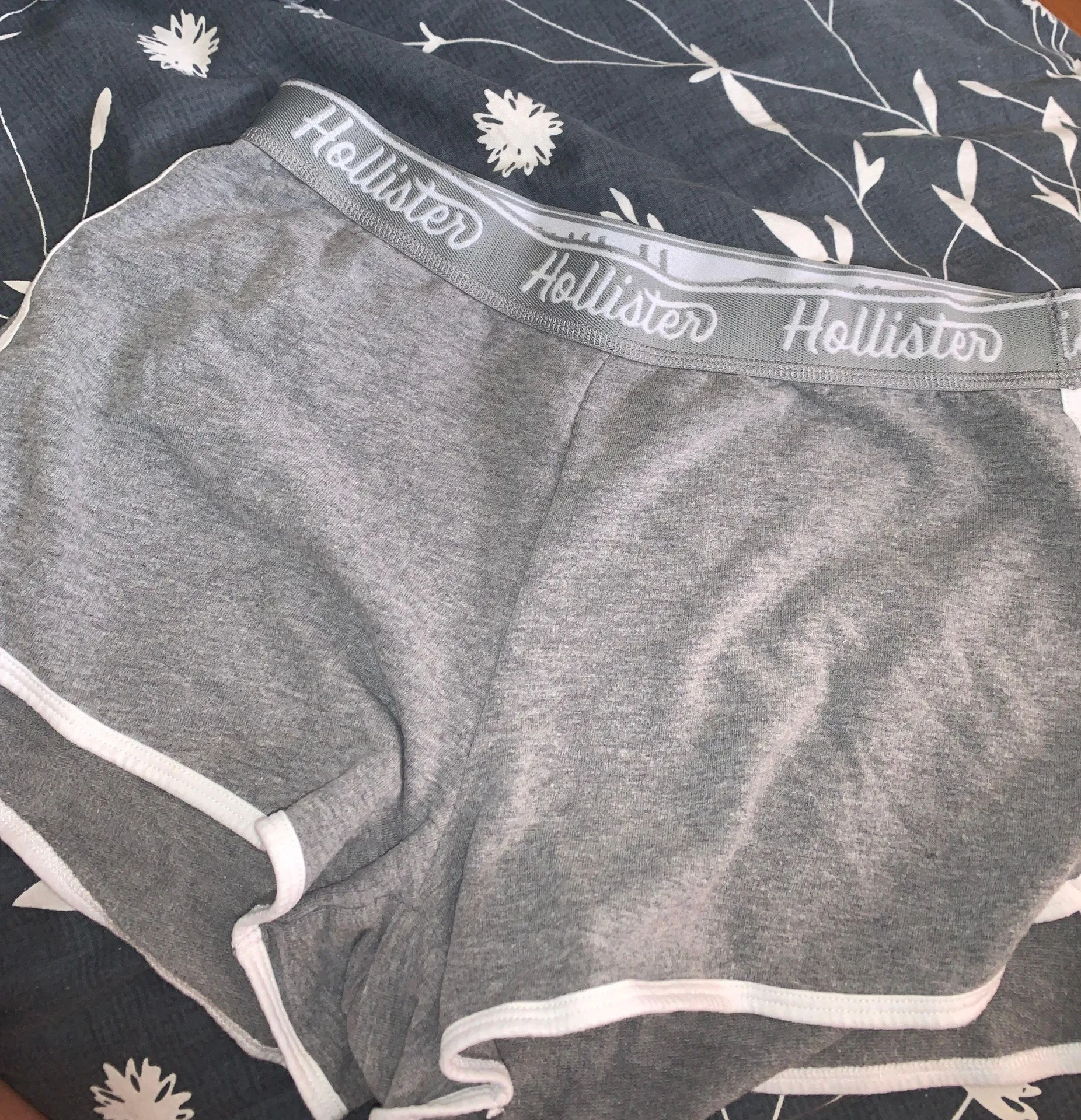 Hollister Gray Shorts - Image 2