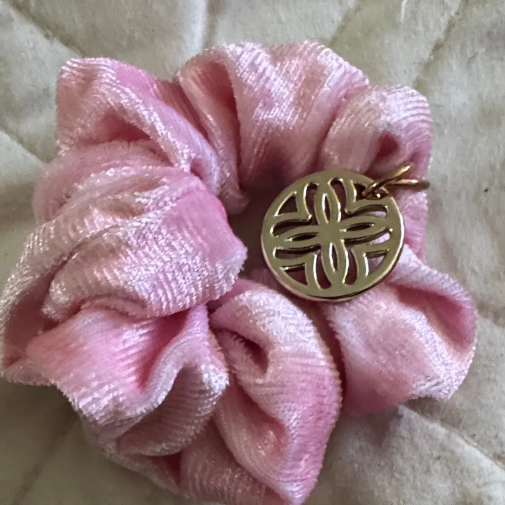 Velvet Scrunchie Set with Gold Charm - Pink, Green - Image 4