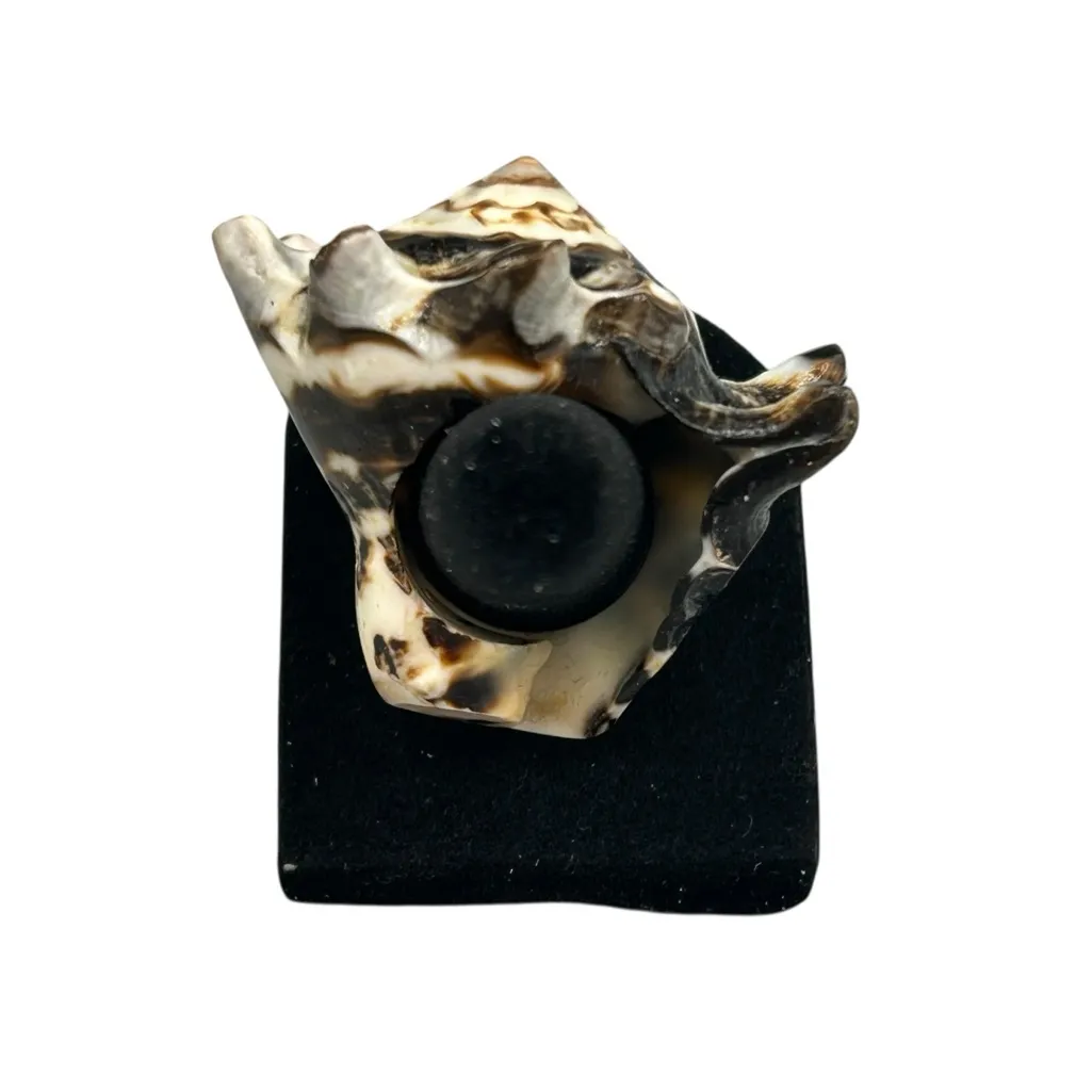 Dominican Republic Sea Shell Statement Ring 7.25 - Image 3
