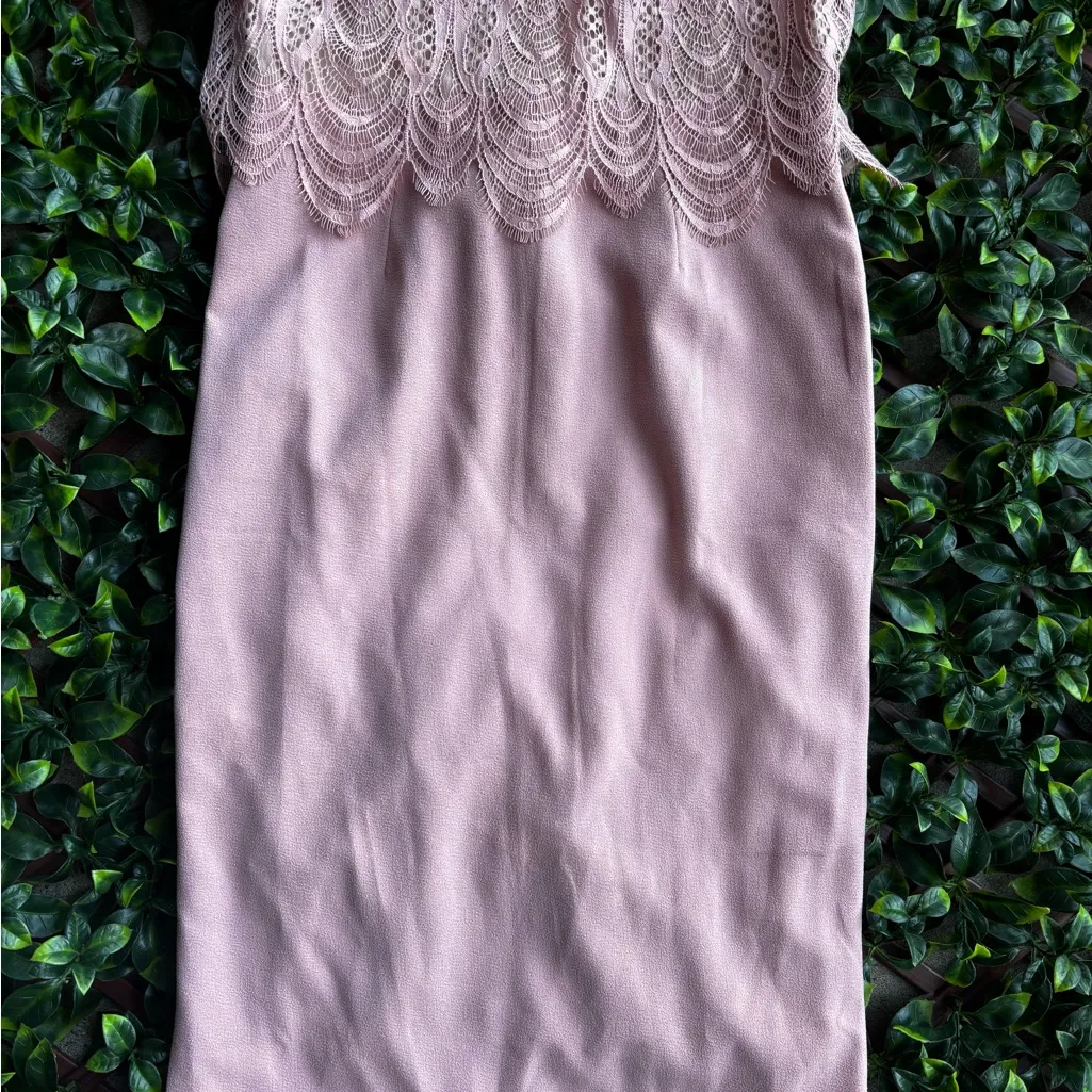 Elegant Pink (Dress The Population) Kenna
Lace Popover Bodice - Image 6