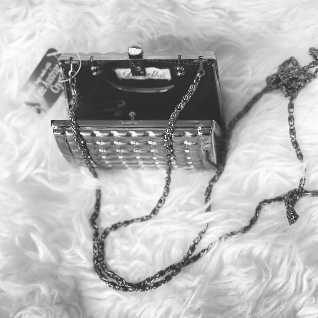 Daniella fine Austrian crystals hard shell evening bag Silver - Image 11