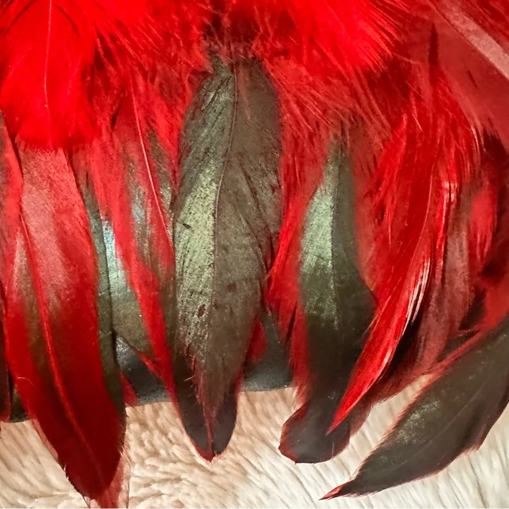 Red & Black Feather Handbag - Image 9