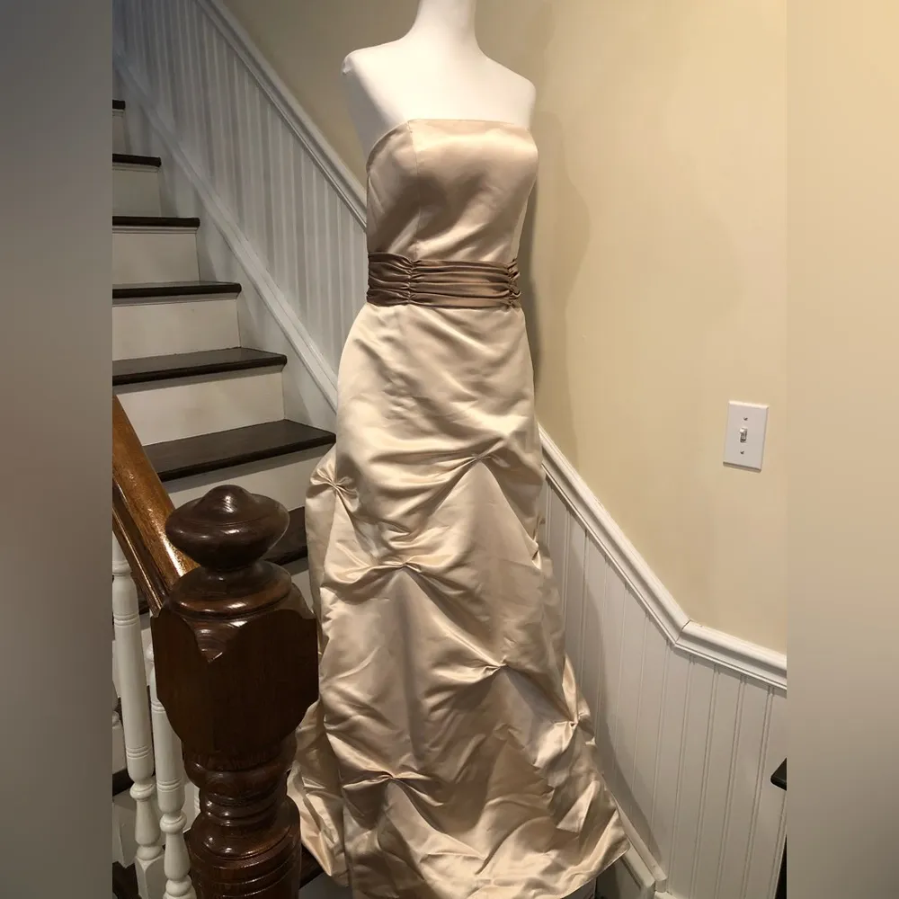 BILL LEVKOFF Taupe Beige Sleeveless Formal Gown w Pickups and Satin Sash Sz 14 - Image 9