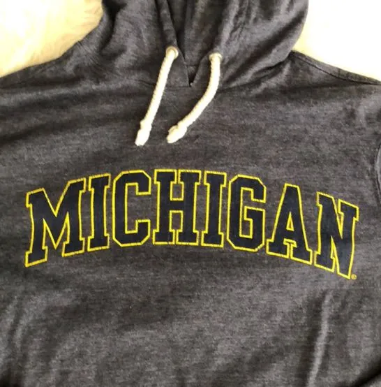 Michigan Hoodie Sweatshirt  - Image 2