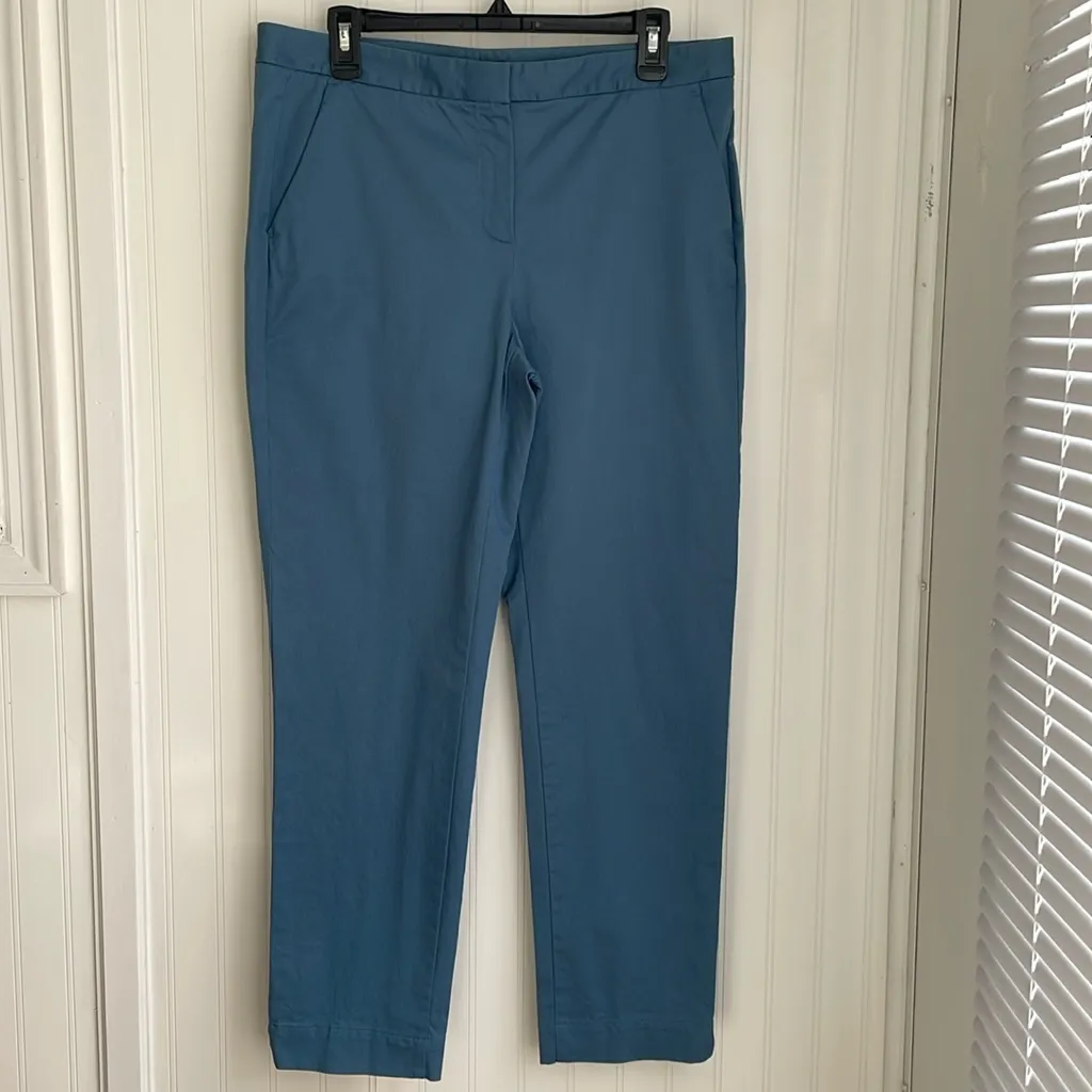 Massimo Dutti Light Blue Chino Pants Ankle Pockets Quiet Luxury Classic Size 10 - Image 2