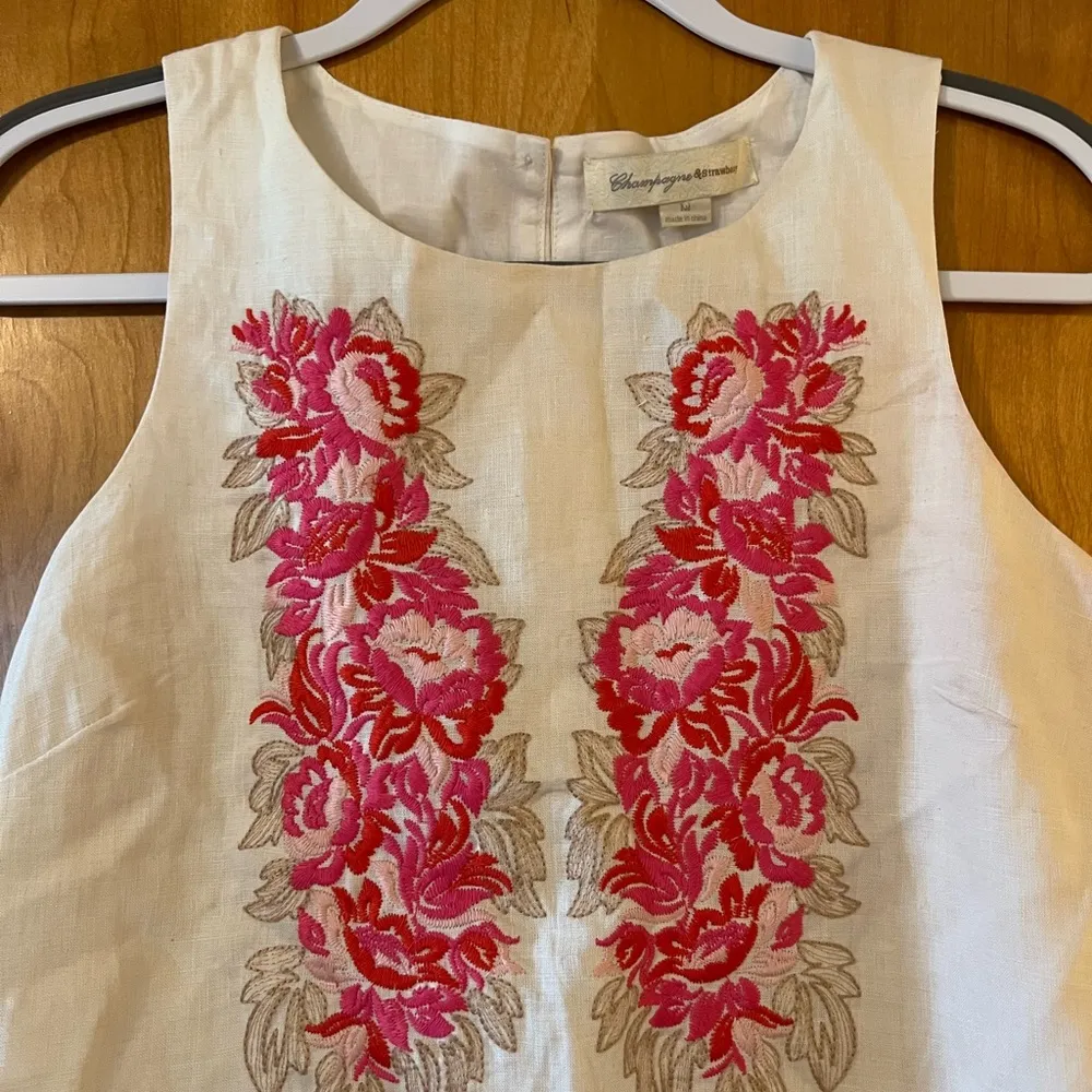 Anthropologie Champagne & Strawberry Embroidered Sleeveless Dress Size Medium - Image 2