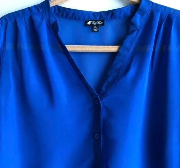 Lily White Blue  button up sheer blouse - Image 4