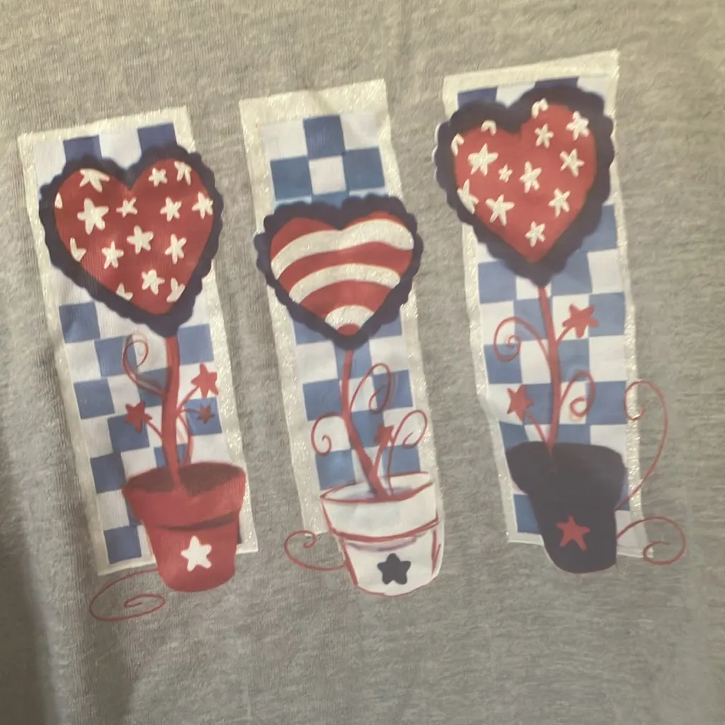 FINAL MARKDOWN Cottage core patriotic tee xl Gray - Image 2