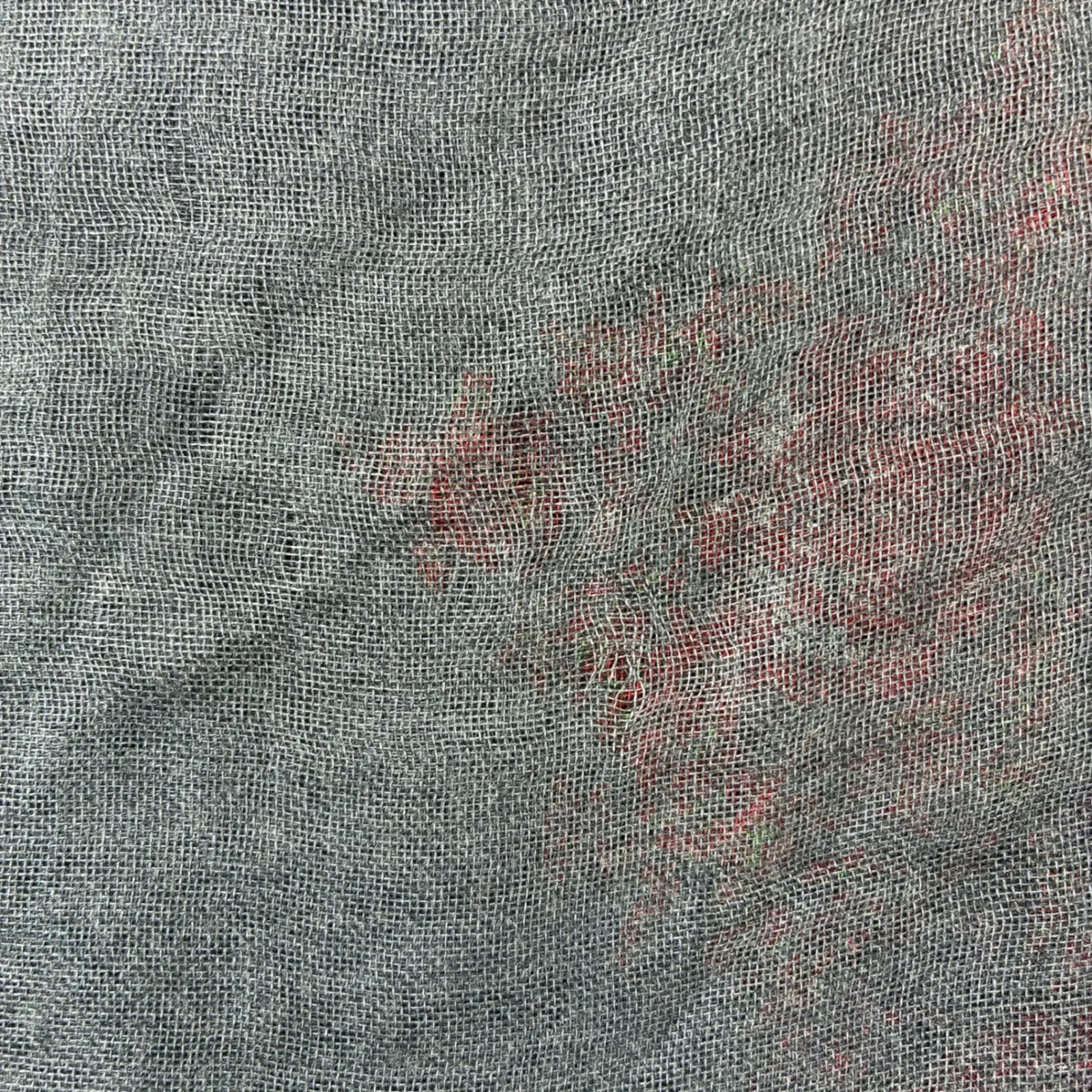 Pashmina Paisley Scarf Wrap Shawl Red Purple Gray Womens‎ Fashion Accessory - Image 5