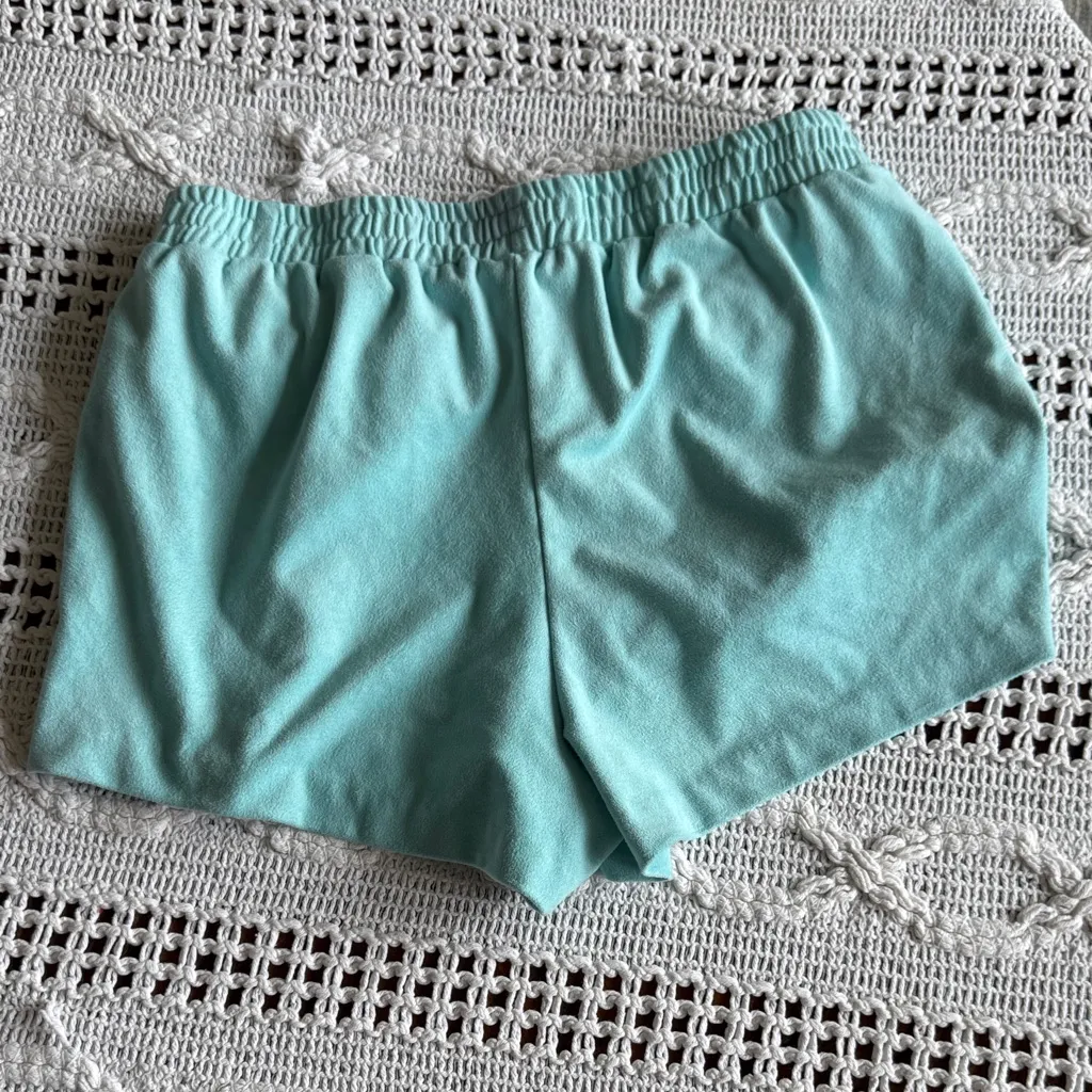 Forever 21 Aqua Faux Suede Shorts - Image 5