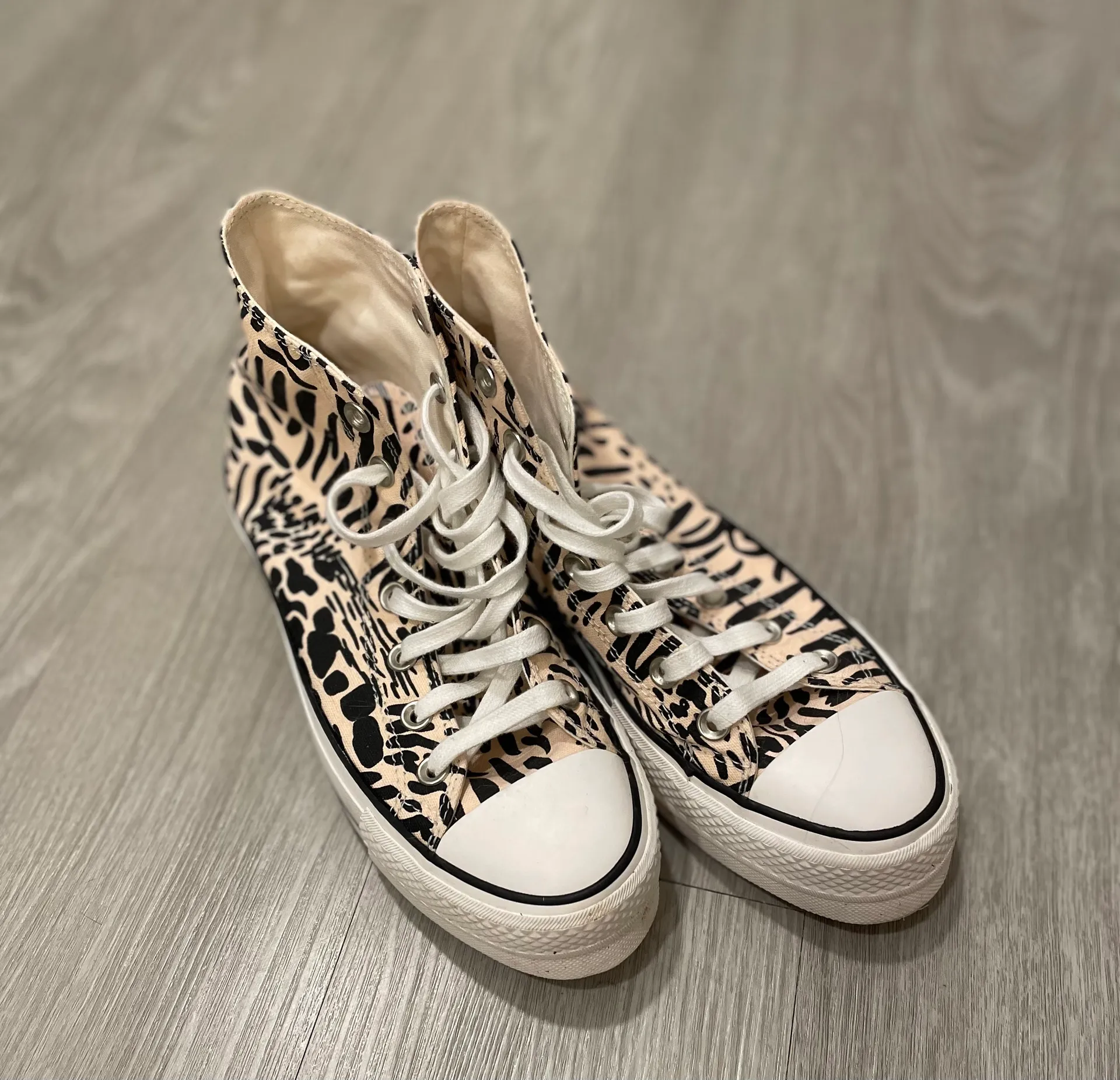 Converse Zebra Platform - Image 4