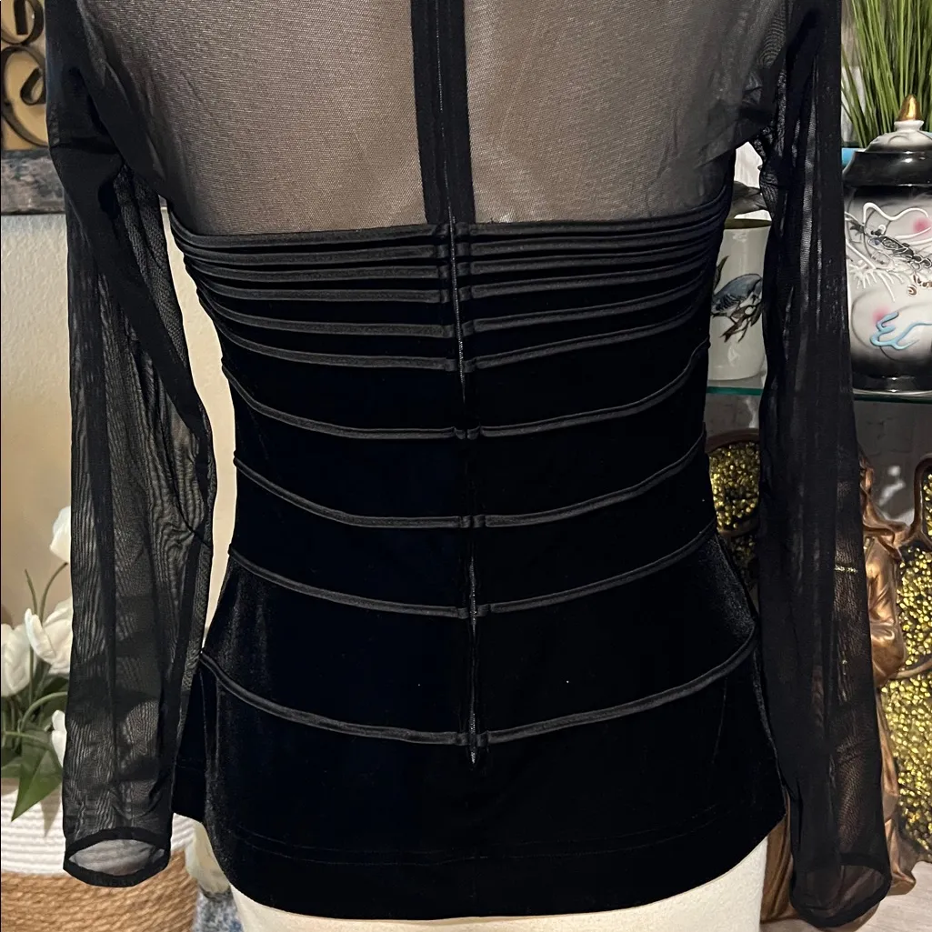 Vintage Tadashi velvet mesh sheer corset style size L - Image 7