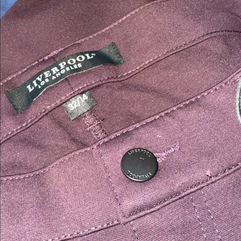 NWT Liverpool Madonna Skinny Legging Jeans in Aubergine Stretch Comfort 32/14 - Image 5
