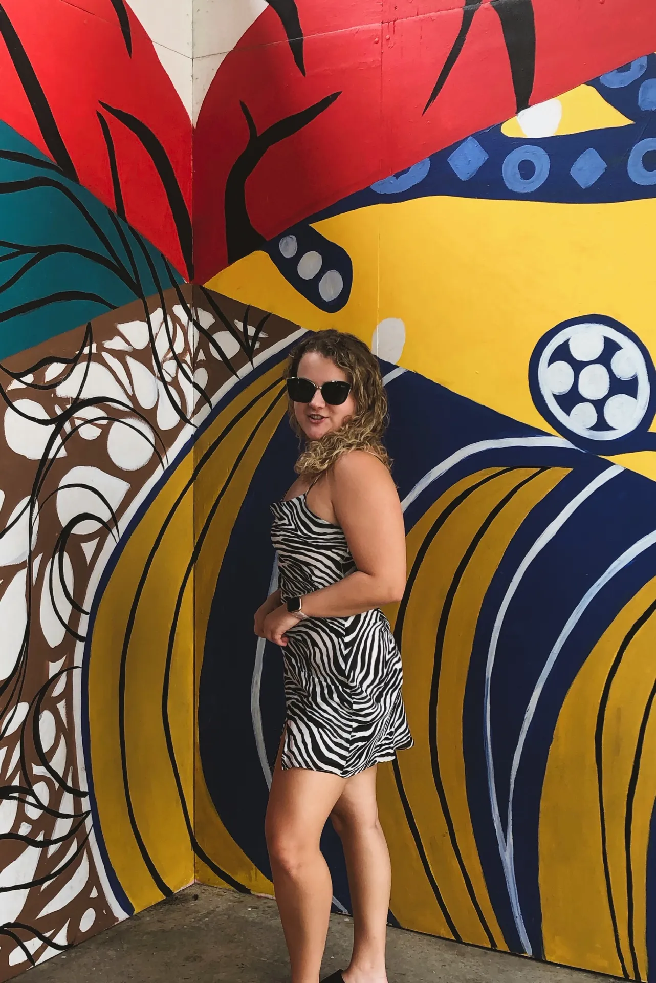 Zebra Mini Dress - Image 4