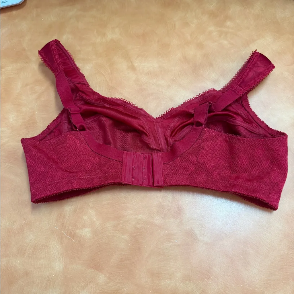 Chic Scarlet Lace Bra Red Size undefined - Image 2
