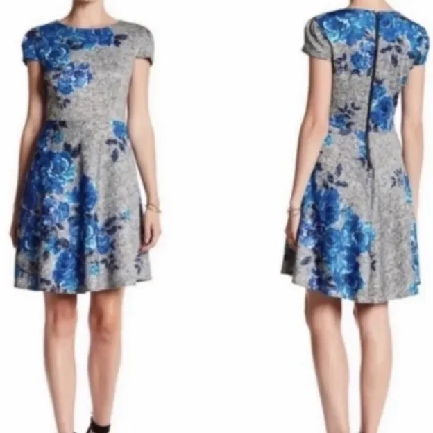 Betsey Johnson Womens Floral Gray Blue Mini Fit & Flare Dress. Size 6 - Image 2