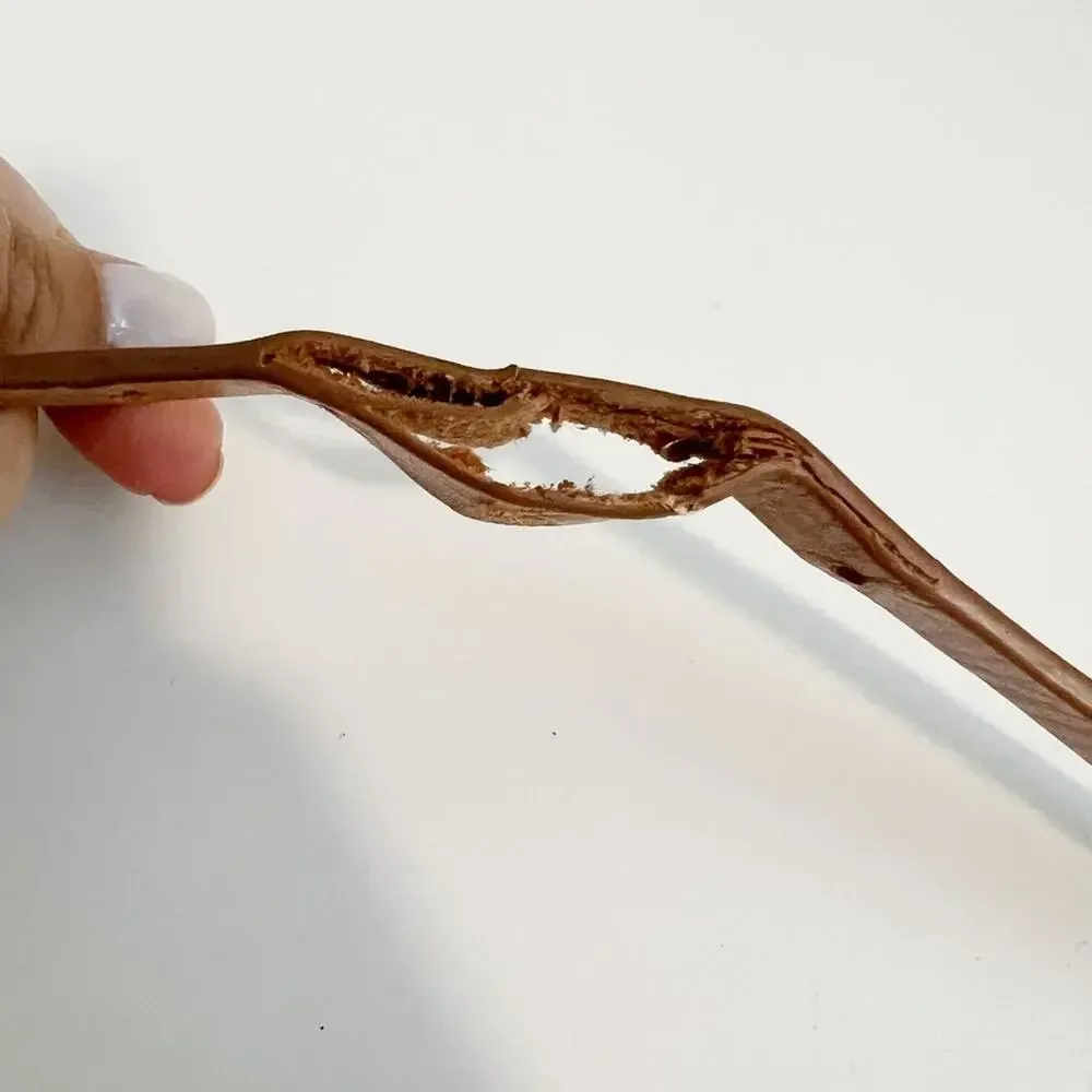 3.1 PHILLIP LIM Braided Leather‎ Belt in Tan - Image 4