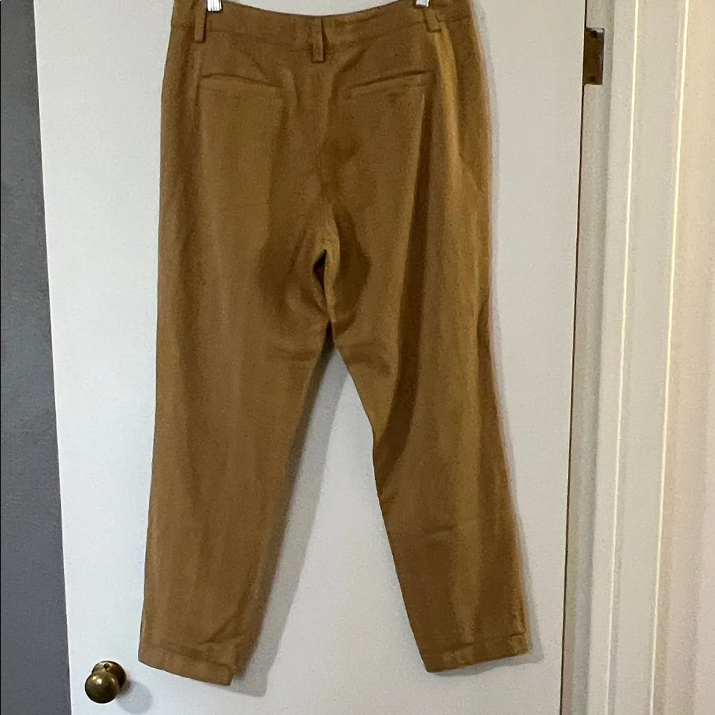 Anthropologie Tan Trousers - Image 7