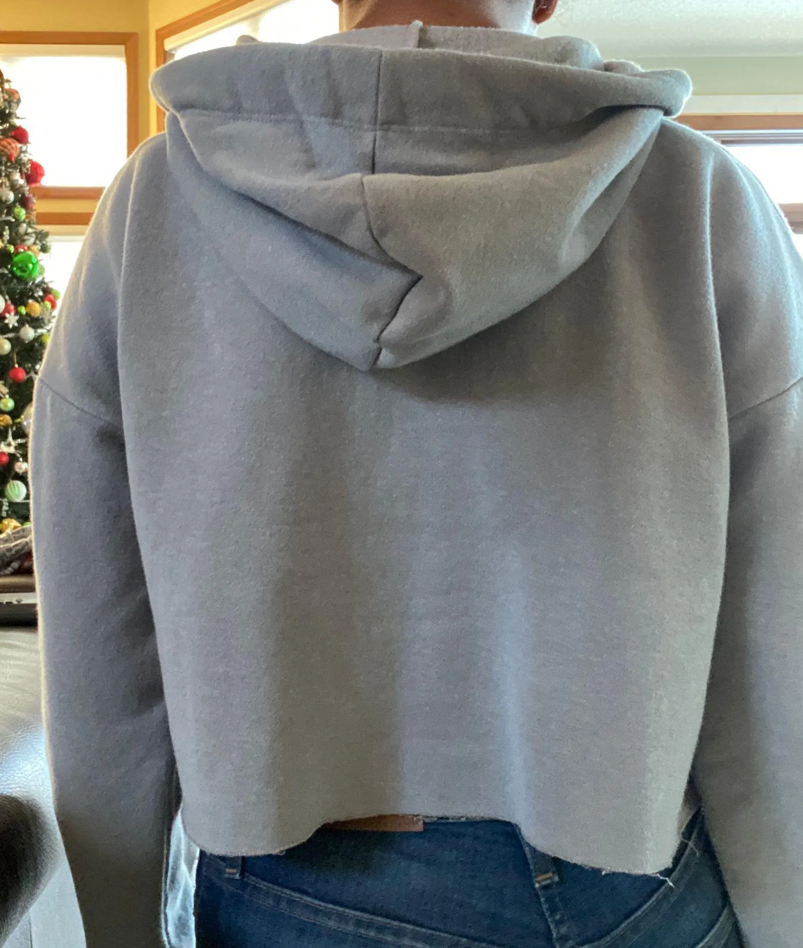 Dusty Gray Cropped Hoodie - Image 2