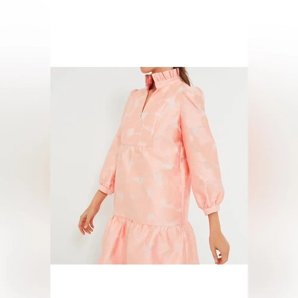 Tuckernuck Bellini Fil Coupe Palmerston Dress L NWT Pink Ruffle Party - Image 5