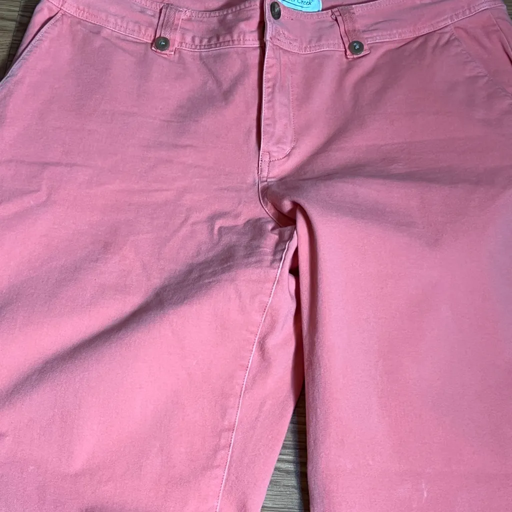 Coldwater Creek Petit 12 Pants.  Orange.  Stretchy Five Pockets - Image 2