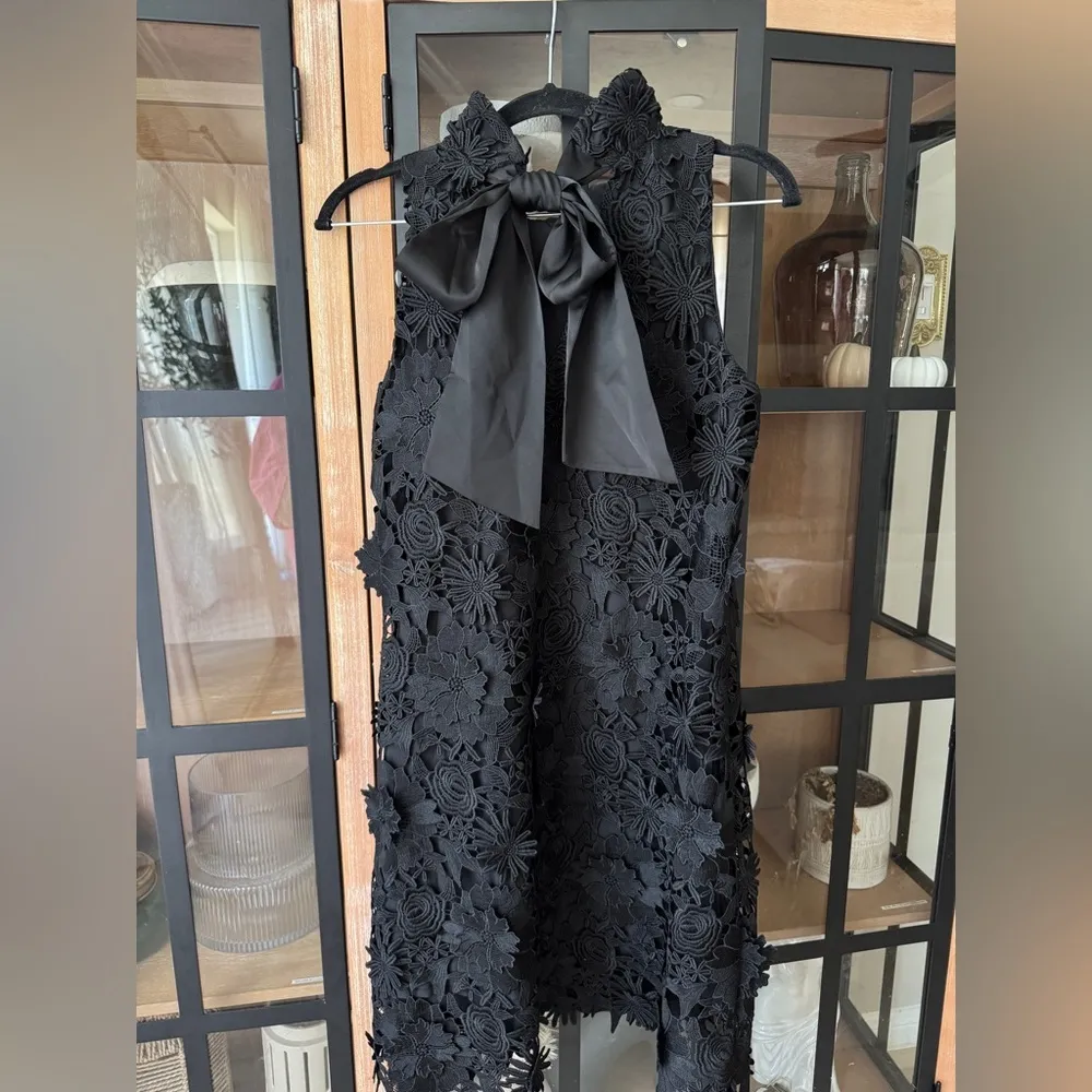 Tuckernuck Guipure Lace Blythe Dress bow mini sleeveless black tie ruffle neck - Image 9