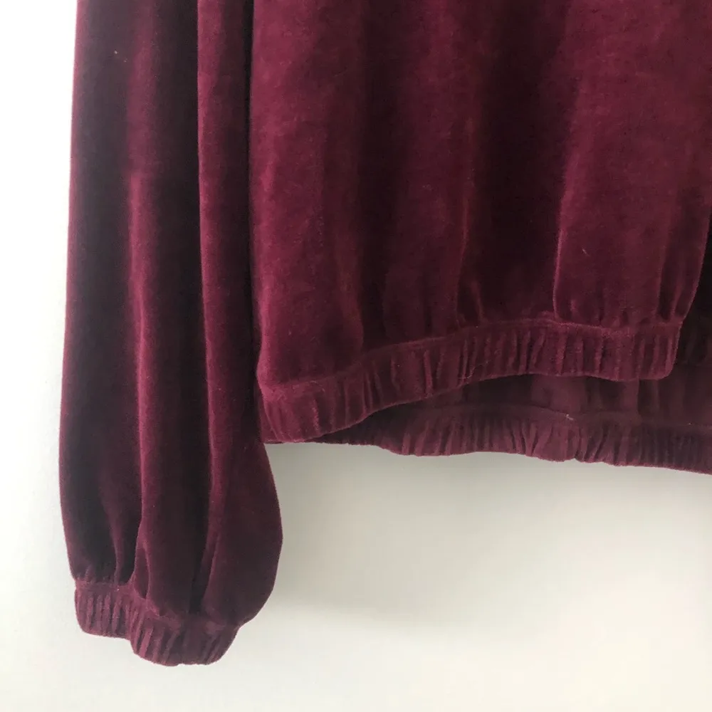 Anthropologie Daily Practice Plum Purple Velour Hoodie Sweatshirt NEW - Image 4