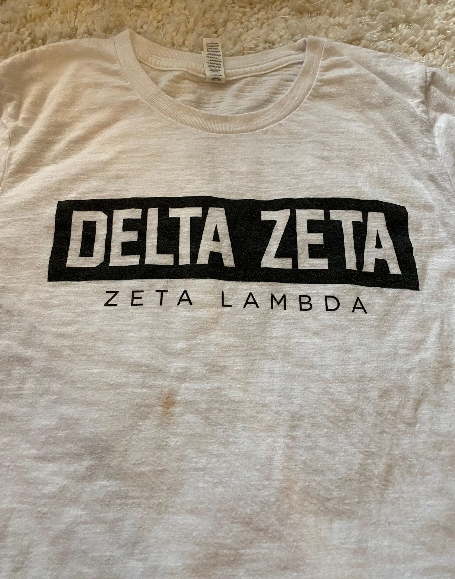 Bella Canvas Delta Zeta T-shirt - Image 2