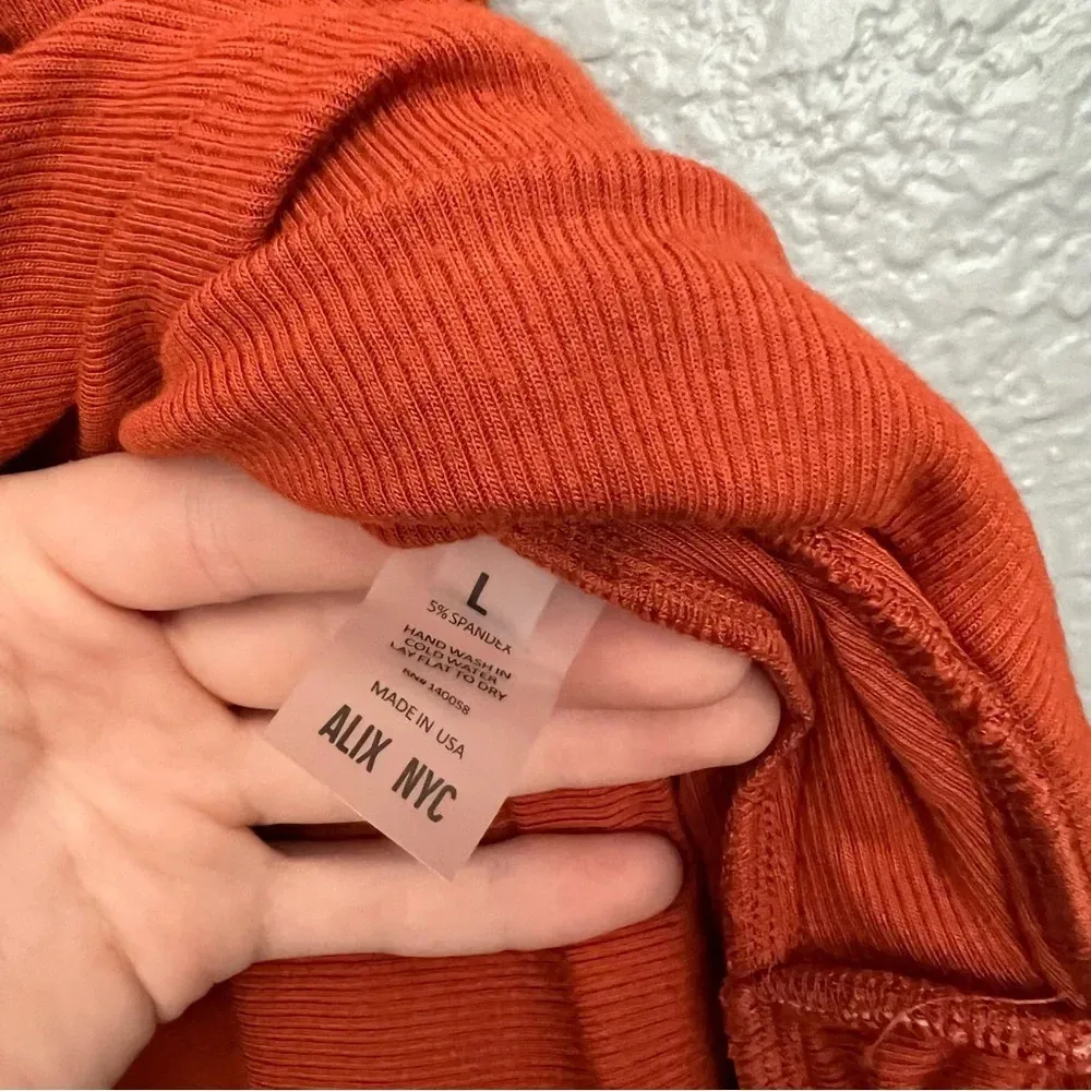 Alix NYC Pratt Mini Dress in Amber Red Size L - Image 7