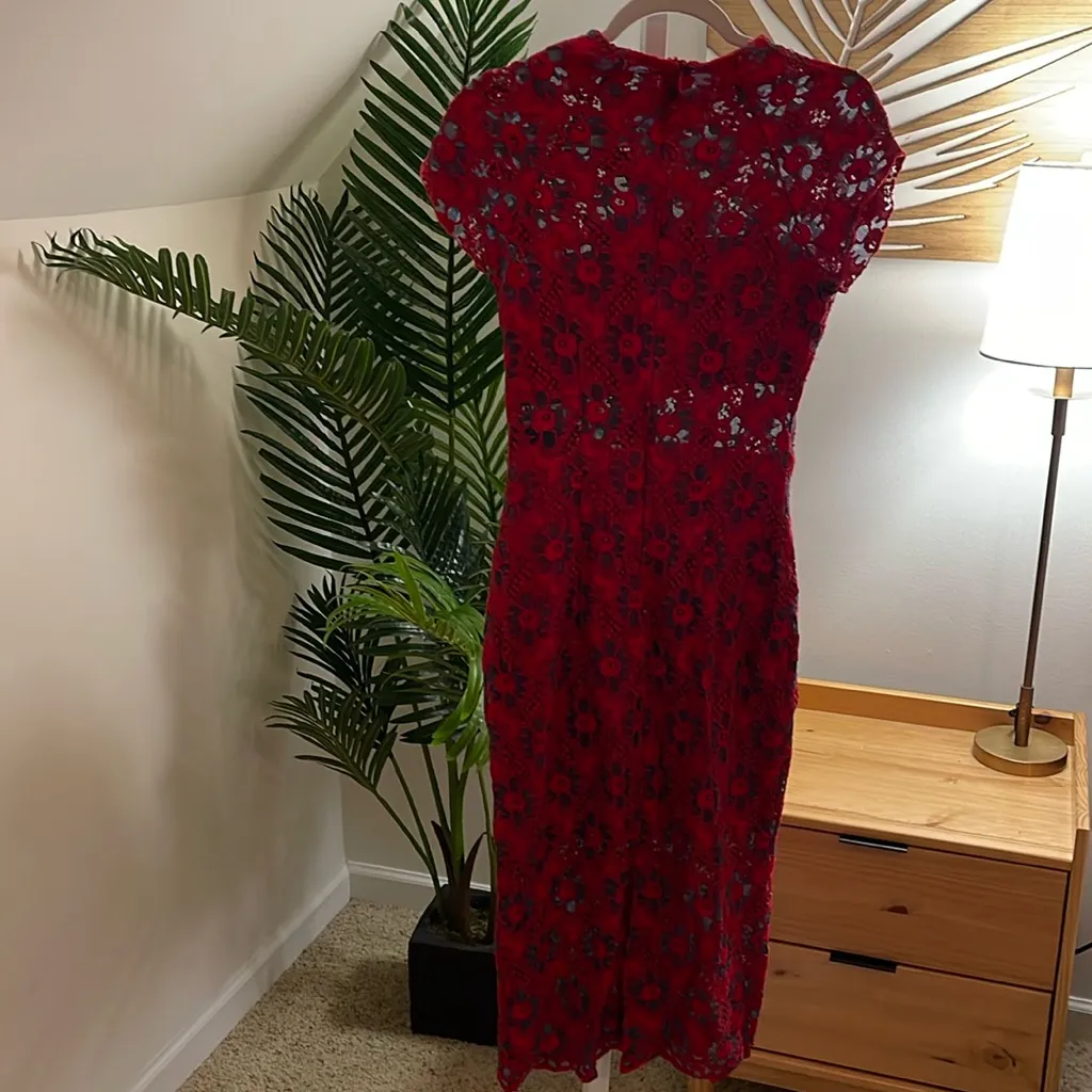 ALEXIS Floral Lace Short Sleeve High Neck Sheer Cutout Bodycon Sheath‎ Dress L - Image 8