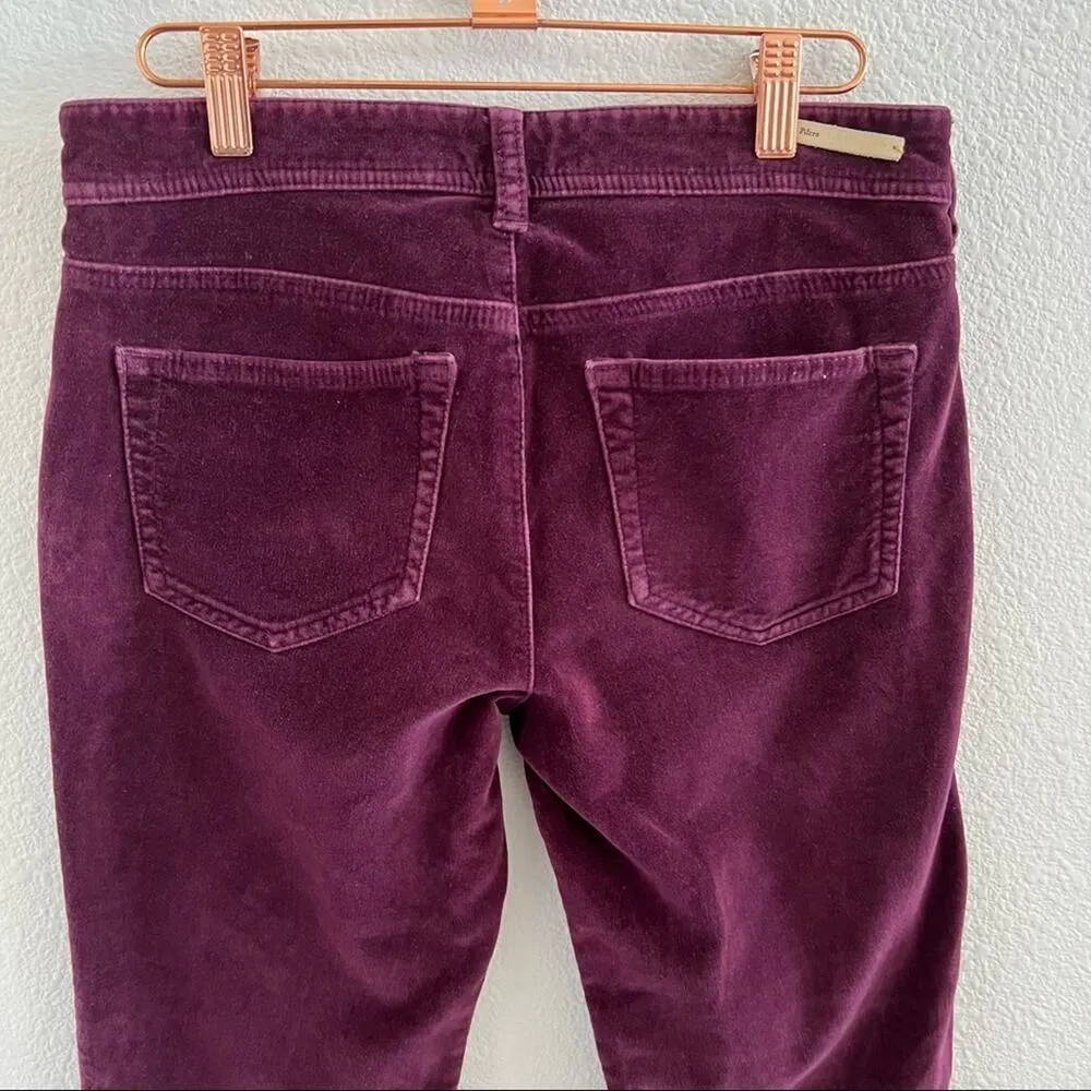 Pilcro and the Letterpress Anthro Serif Velvet Maroon Pants 26 - Image 10
