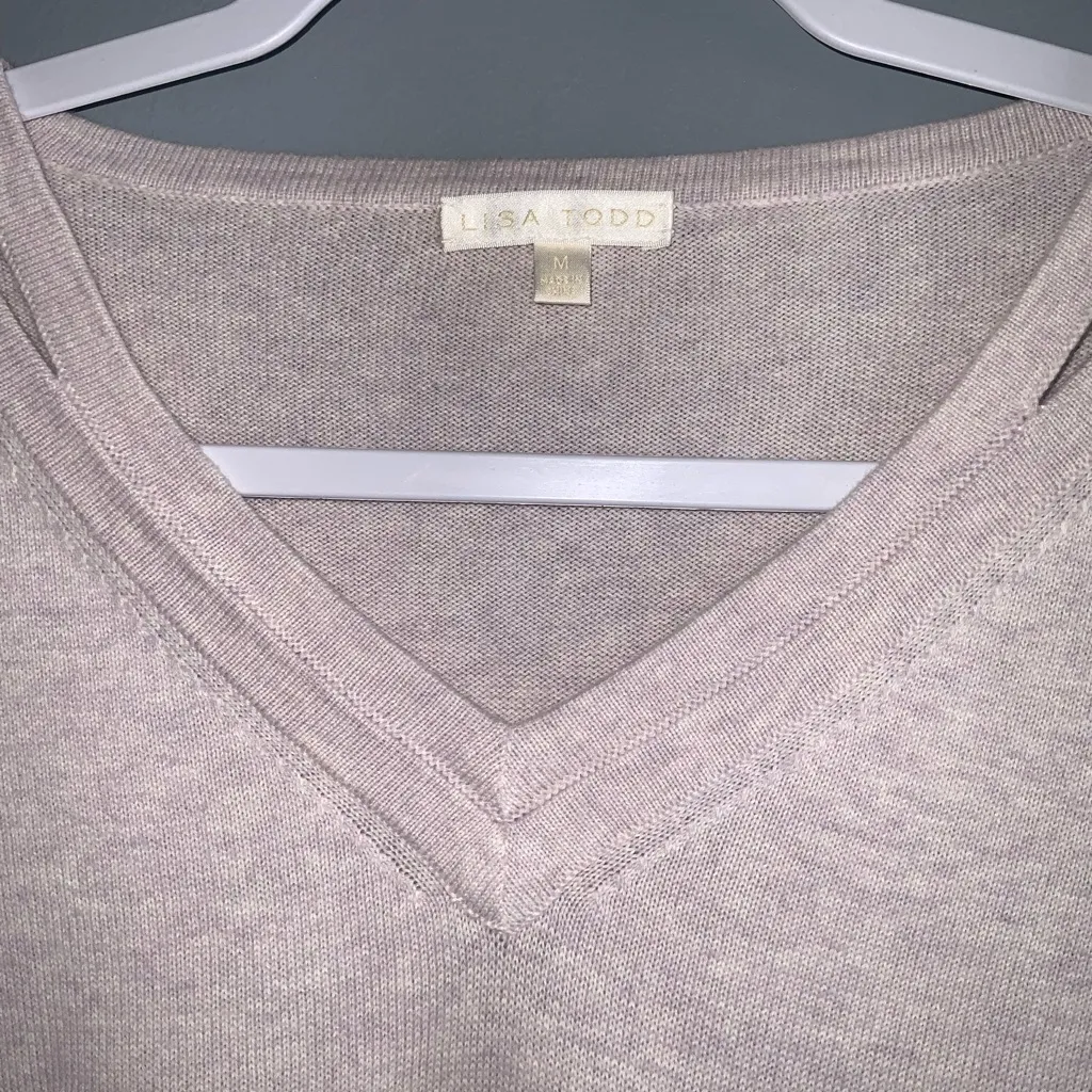 Lisa Todd V - Image 8