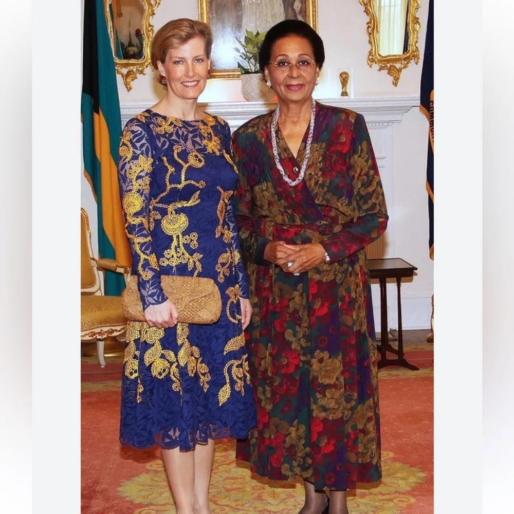 NWOT Oscar de la Renta Blue and Gold Lace Dress - Image 4