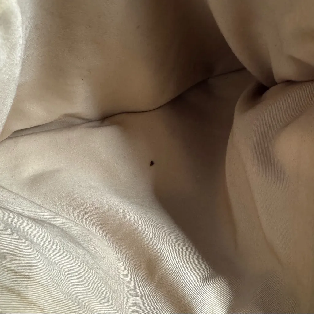 J Crew Brampton Hobo Bag Top Handle Leather Medium Brown Gold Hardware - Image 3