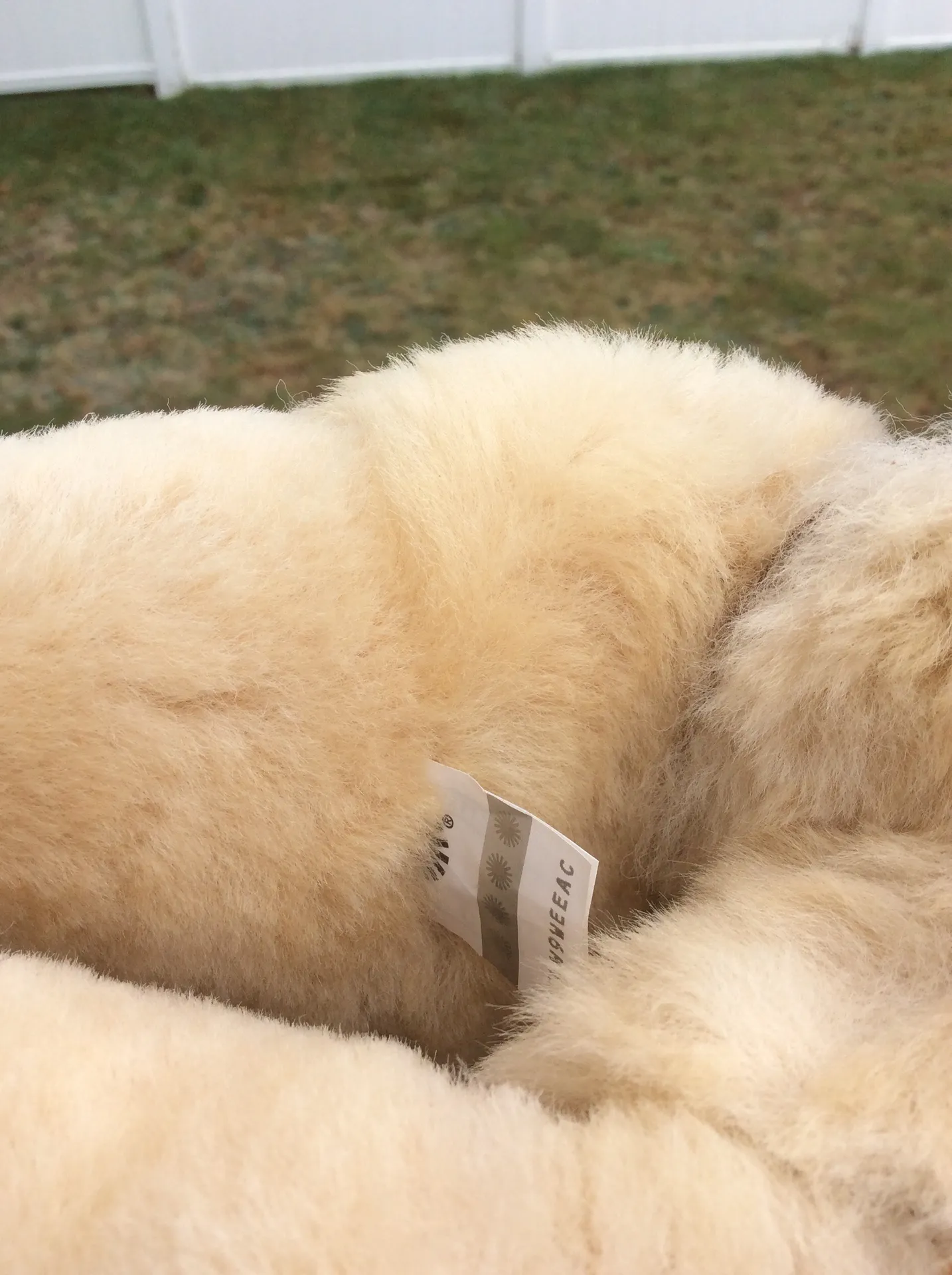 Bailey Bow Diagonal Stripes - Image 5