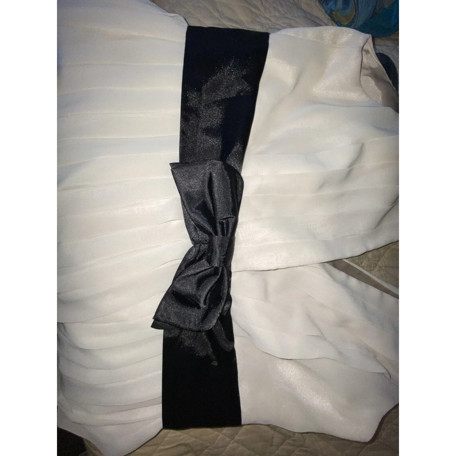 Max and Cleo Formal  Cocktail Beige/Black Sheer V-Neck Cut Dress Fully Lined - Image 11